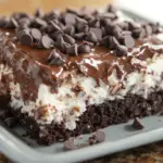Earthquake Cake
