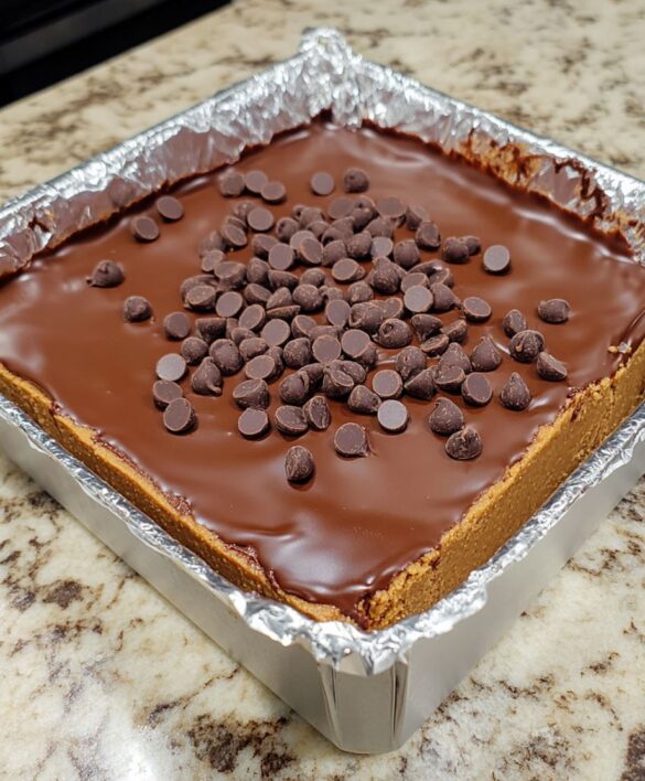 Decadent Chocolate-Covered Peanut Butter Cheesecake Squares Recipe