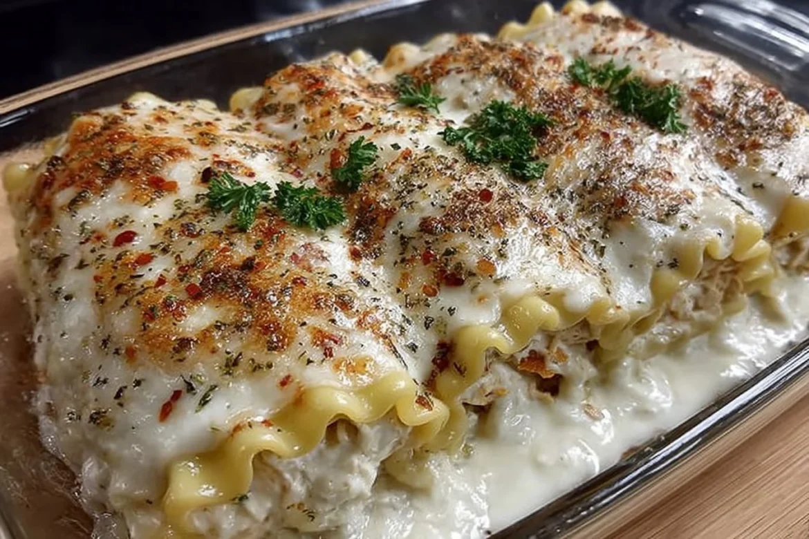 Delicious Chicken Alfredo Lasagna Roll served with herbs and cheese.